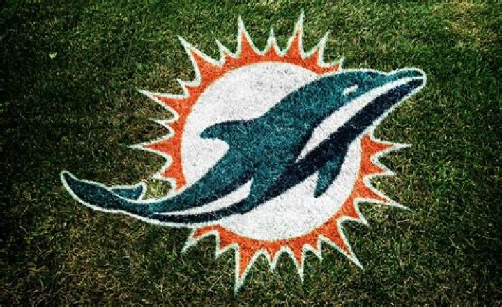 dolphins forums dolphins forums