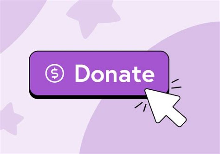 donations button example donations button example