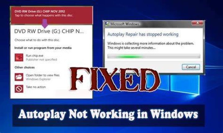 DVD ROM autoplay not working