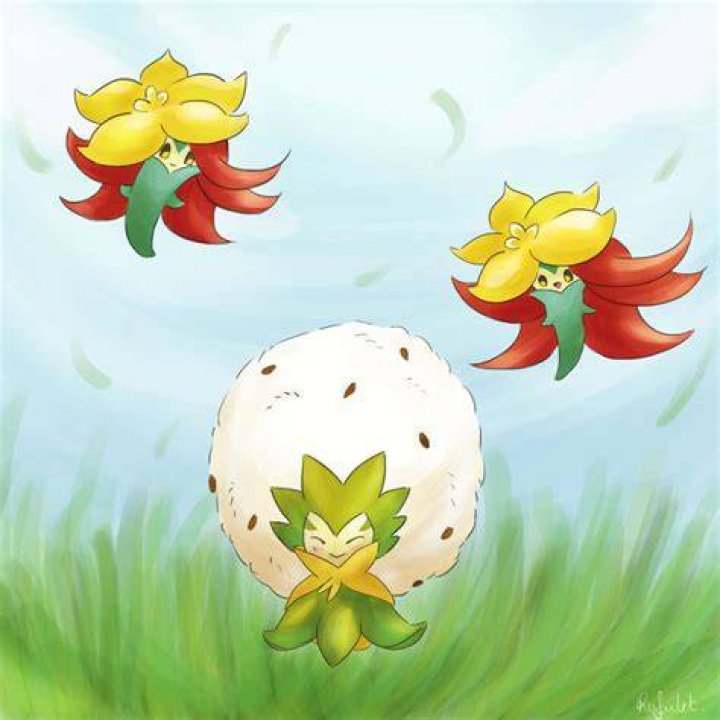 Eldegoss
