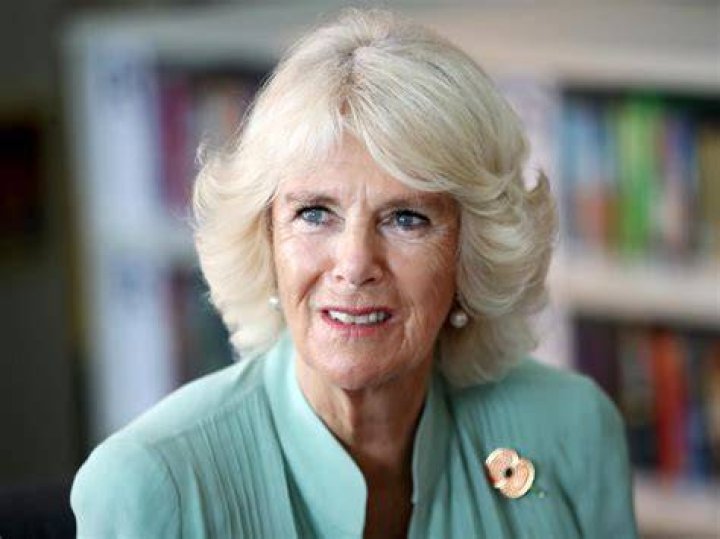 Enter Camilla, a modern and complex queen