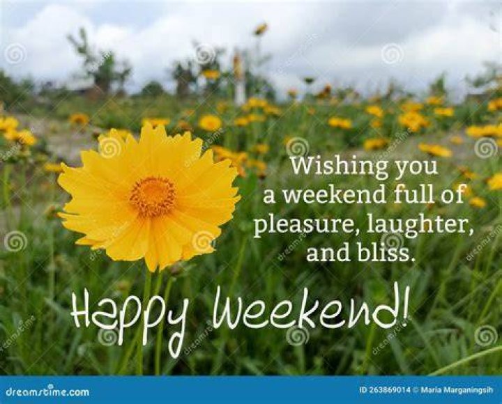 Everything You Need For Your Weekend