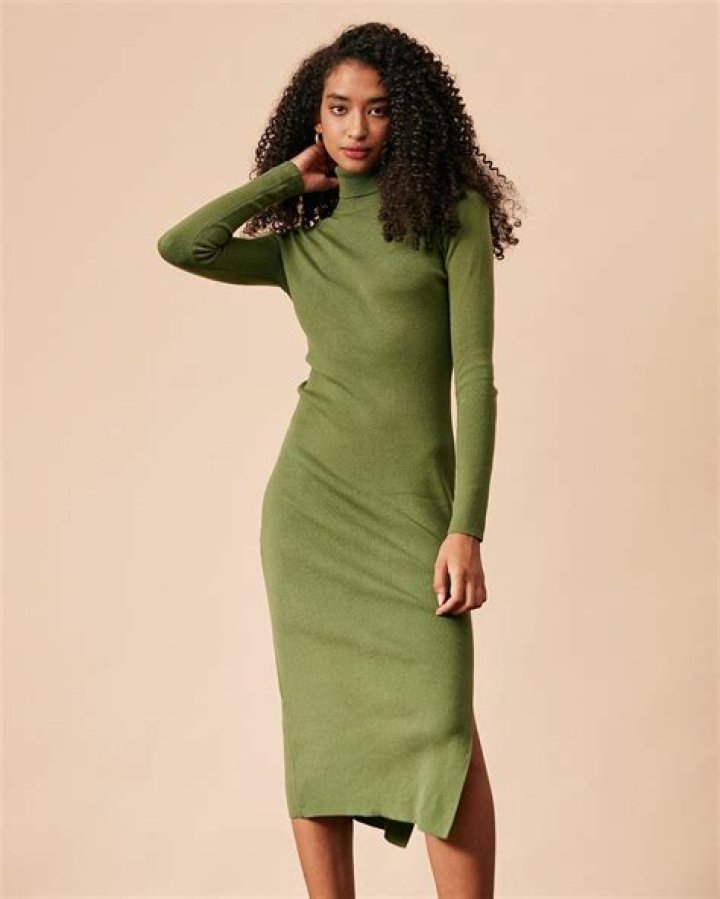 Express turtleneck dress
