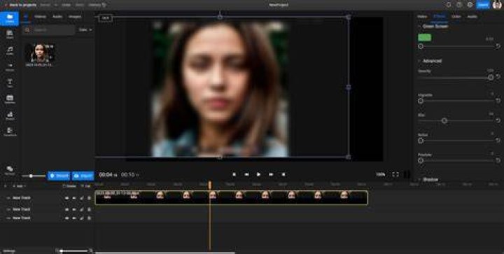 face blurring software