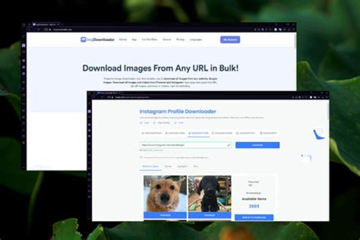 Feature image batch download Instagram photos.