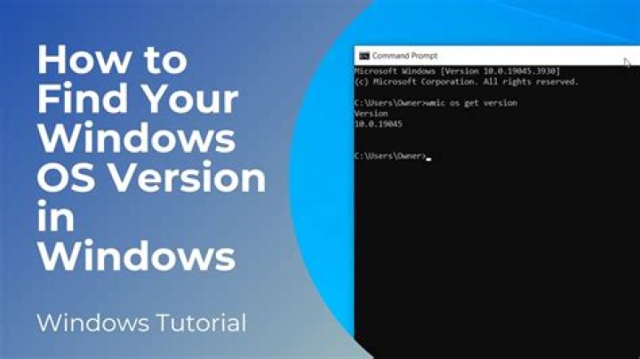 in the cmd window type winver find out windows store version
