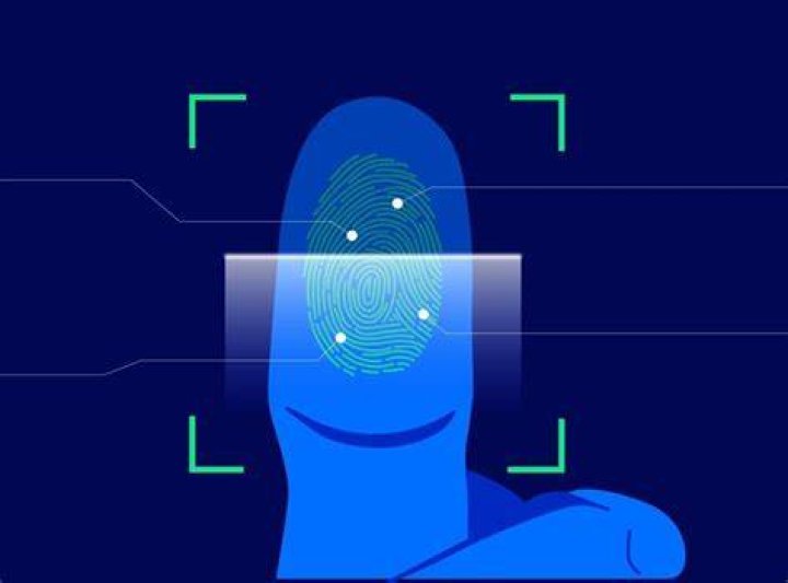 Fingerprint recognition