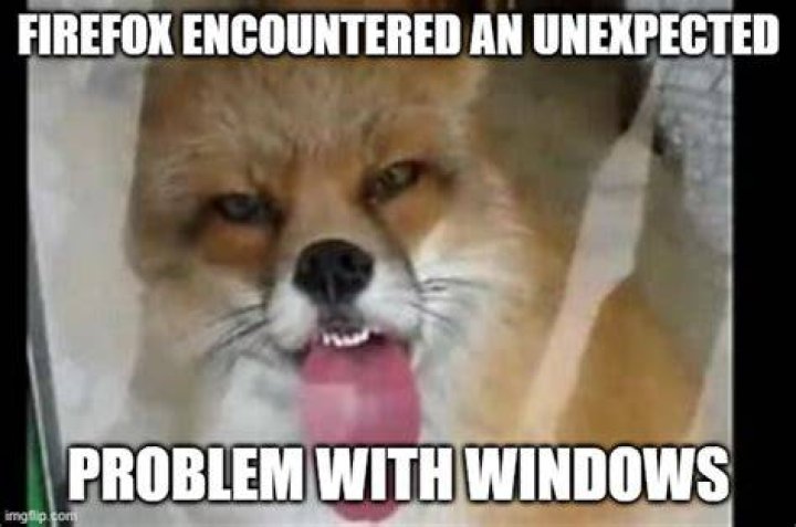 Firefox has encountered an unexpected problem with Windows