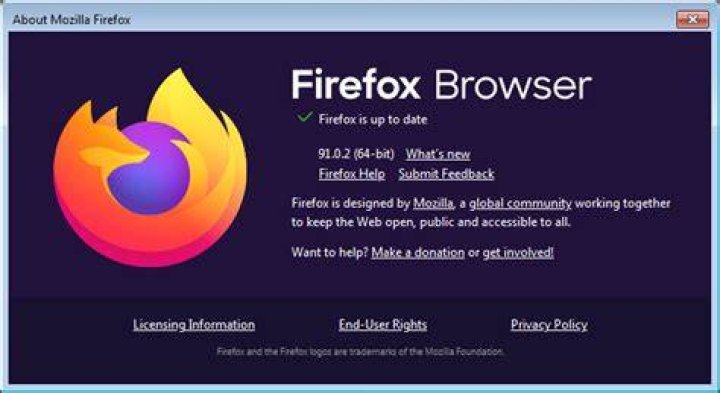 Firefox help settings.