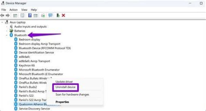 Fix device manager bluetooth is greyed out