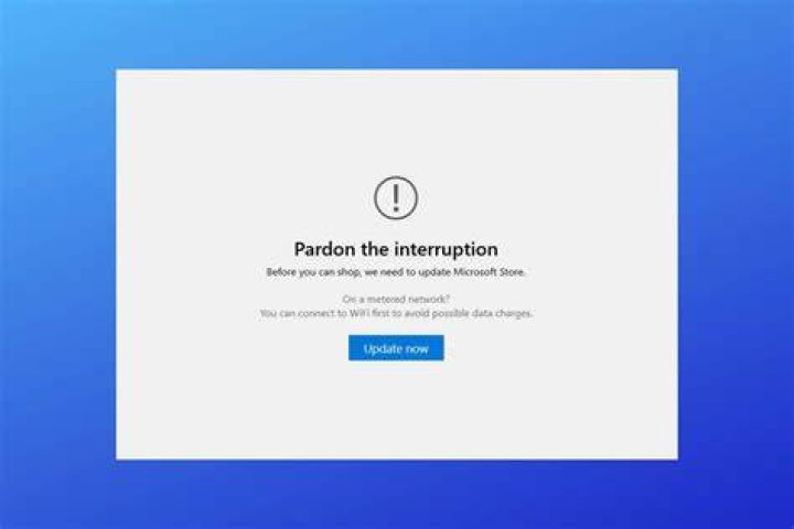 Fix Microsoft Store Pardon the interruption error with ease