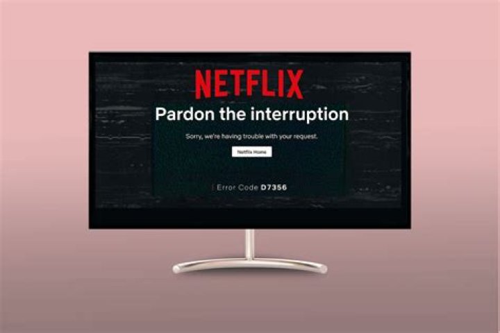 Fix Pardon the interruption error message in Microsoft Store