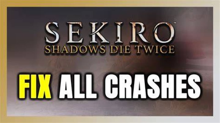 fix Sekiro Shadows Die Twice bugs