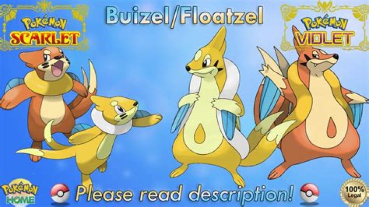 Floatzel (Pokémon)/Generation V learnset - Bulbapedia, the community-driven Pokémon encyclopedia