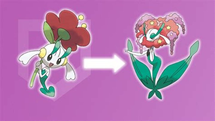 Floette