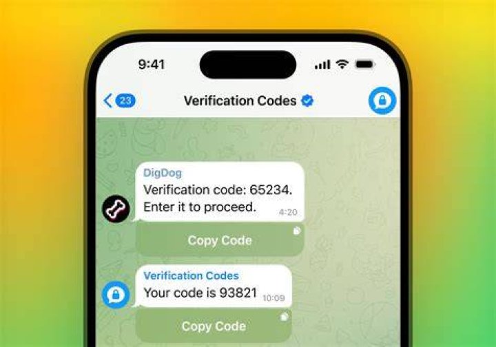 free SMS verification free SMS verification