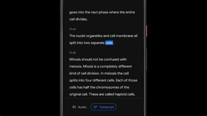 Google Recorder App Transcription - one of neural core functions