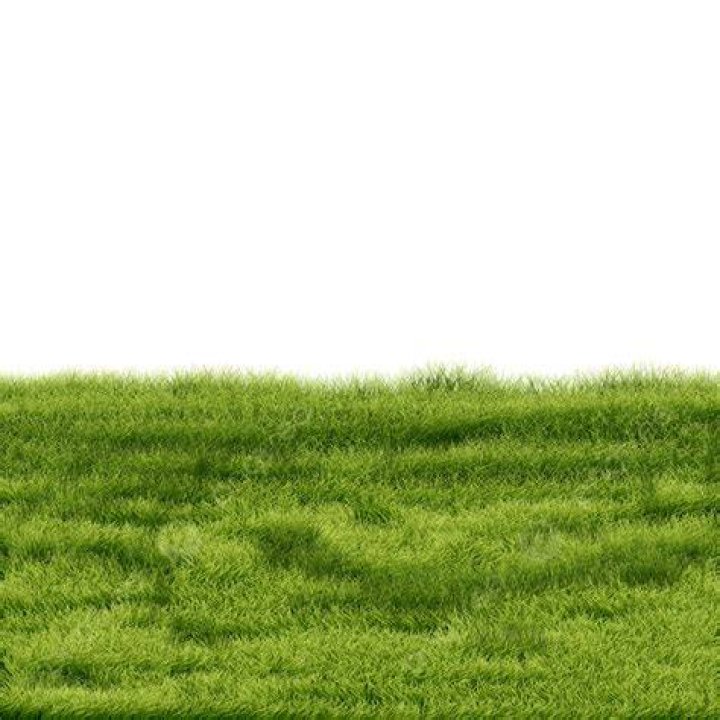 Grass PA.png