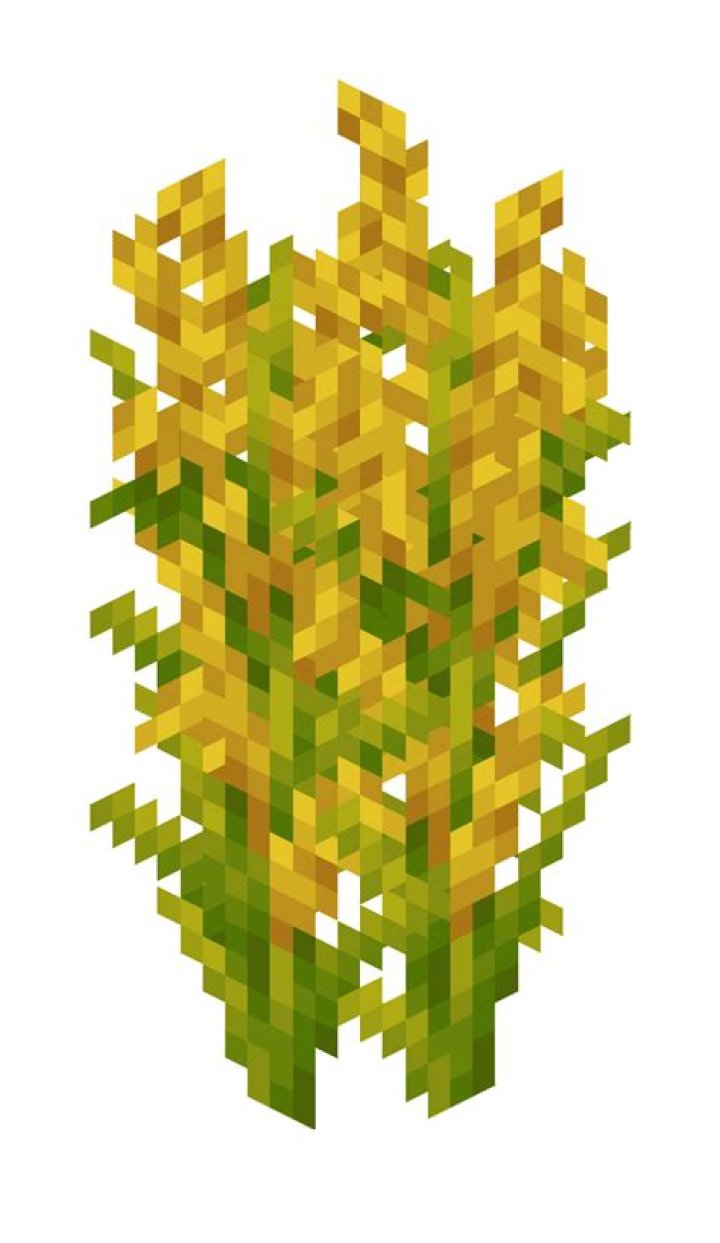 Hearty Grains