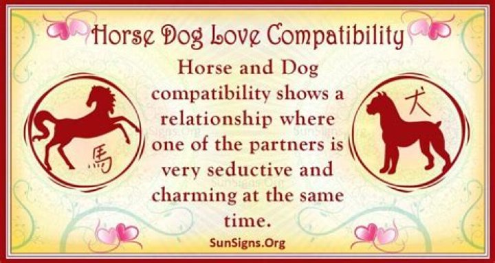 horse dog compatibility