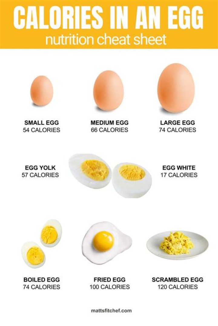 How Many Carbs In 1 Egg