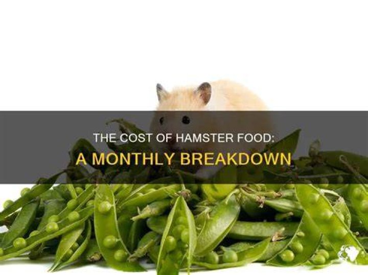 How Much Does Hamster Food Cost
