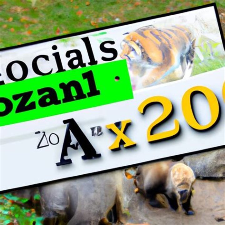 How Much Does The Zoo Cost