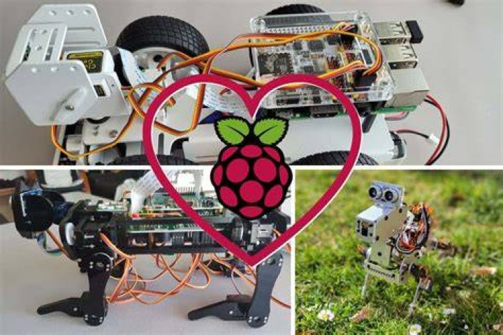 How to build and program your own Raspberry Pi robot