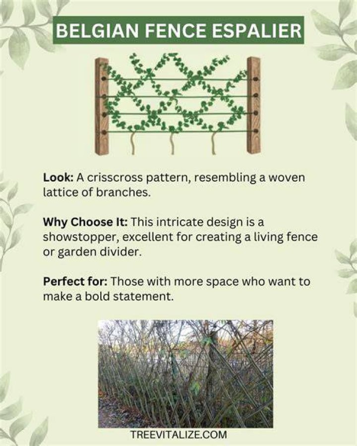 How To Create A Belgian Fence