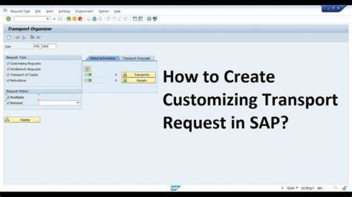 How To Create Customizing Transport Request In Sap