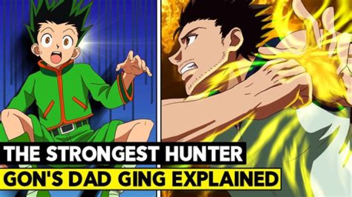 Hunter X Hunter Who Does Gon Like