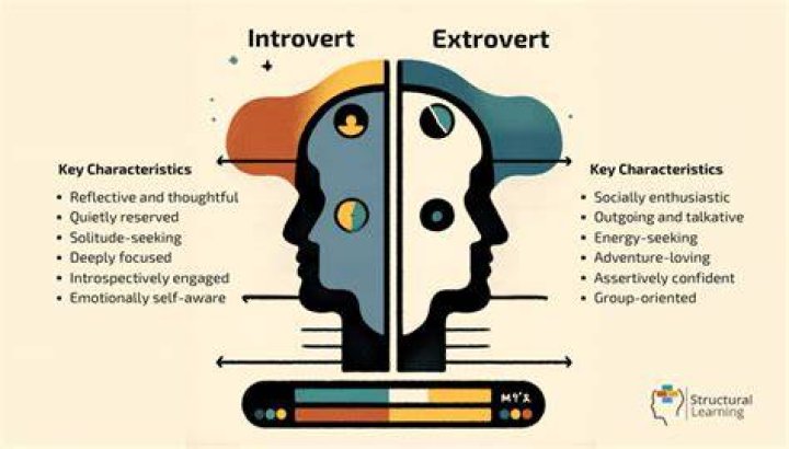 introvert vs extrovert