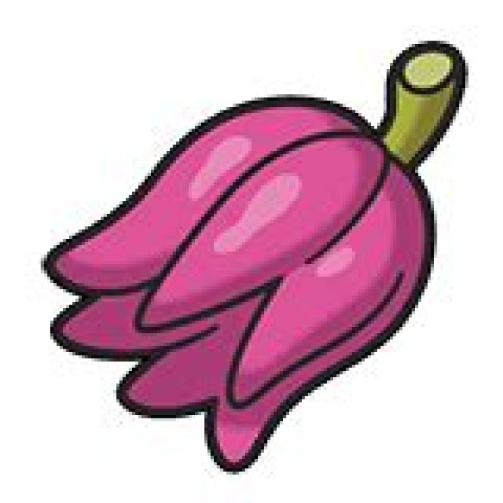 Kasib Berry