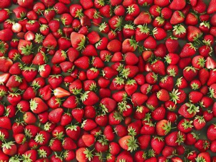 Large Berry pile