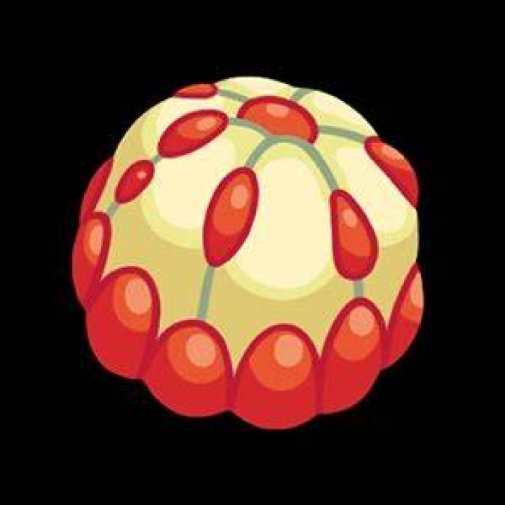 Liechi Berry