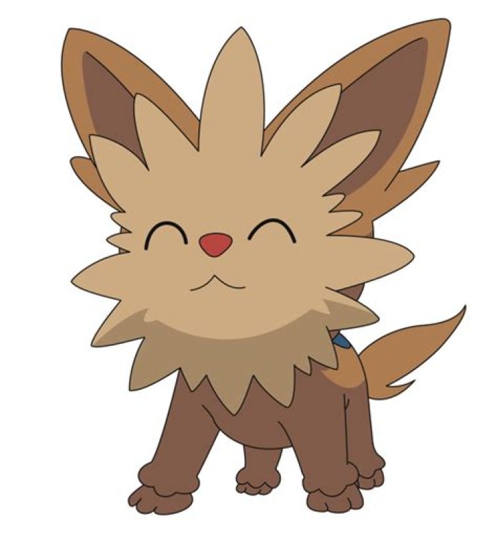 Lillipup