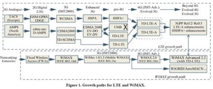 LTE and WiMax growth paths LTE and WiMax growth paths