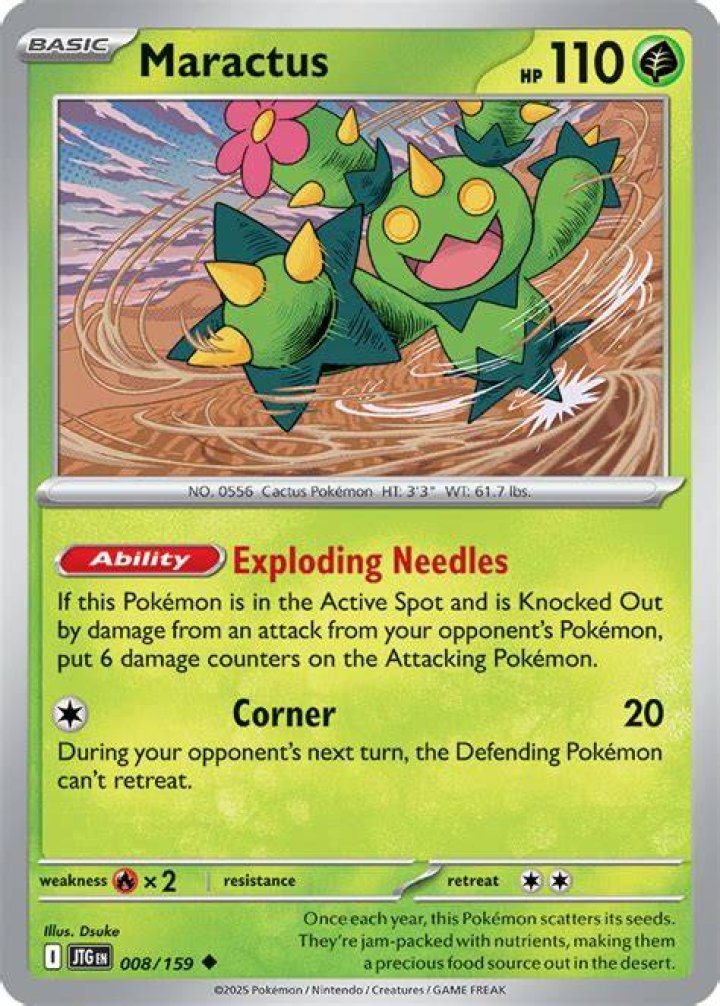 Maractus