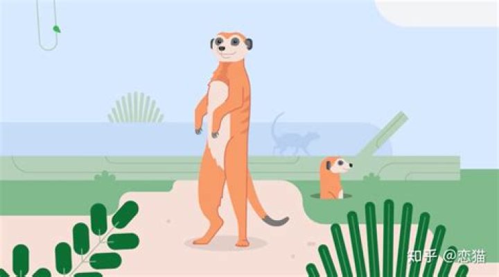 Meerkat Android