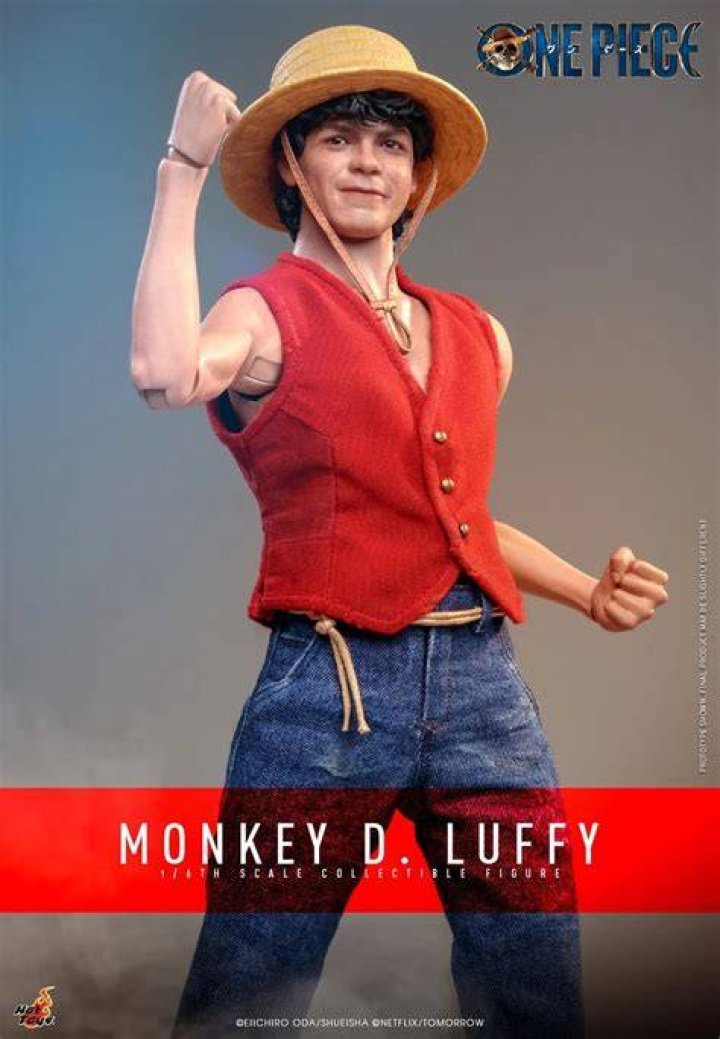 Monkey D. Luffy Victories Monkey D. Luffy Victories