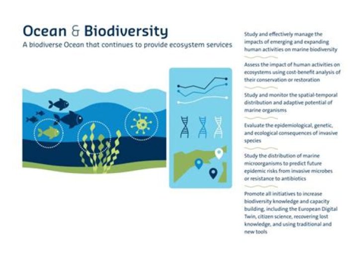 ocean biodiversity ocean biodiversity