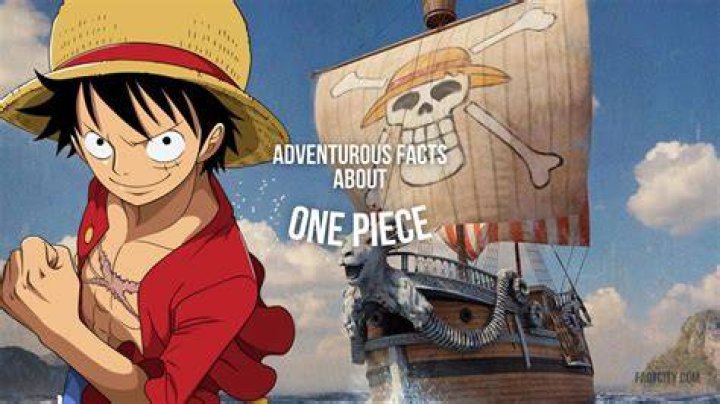 One Piece Fun Facts One Piece Fun Facts