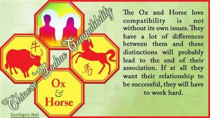 ox horse compatibility