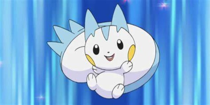 Pachirisu