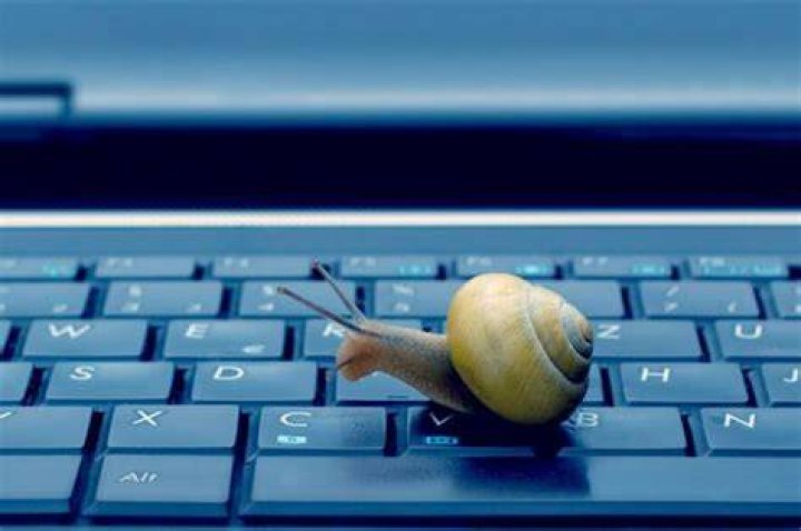 PC lent escargot sur le clavier