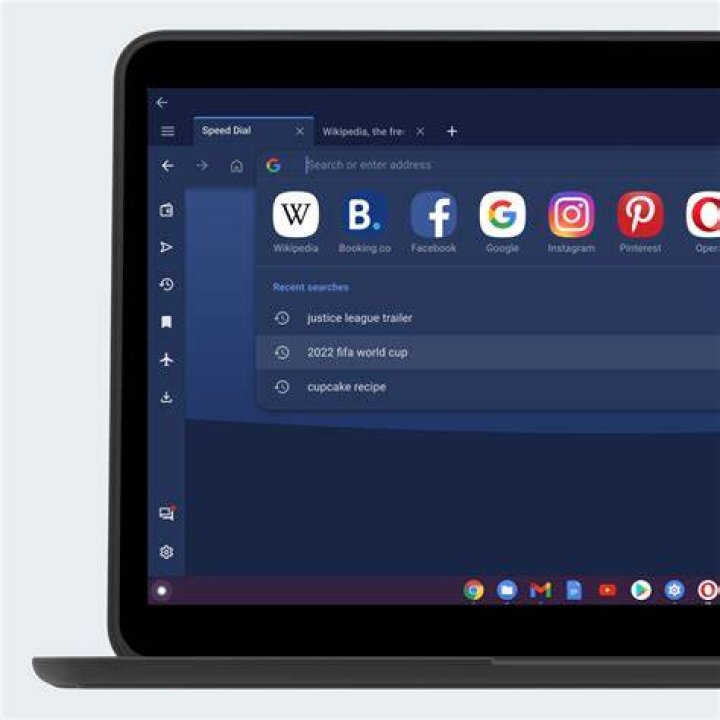 portable browser for chromebook