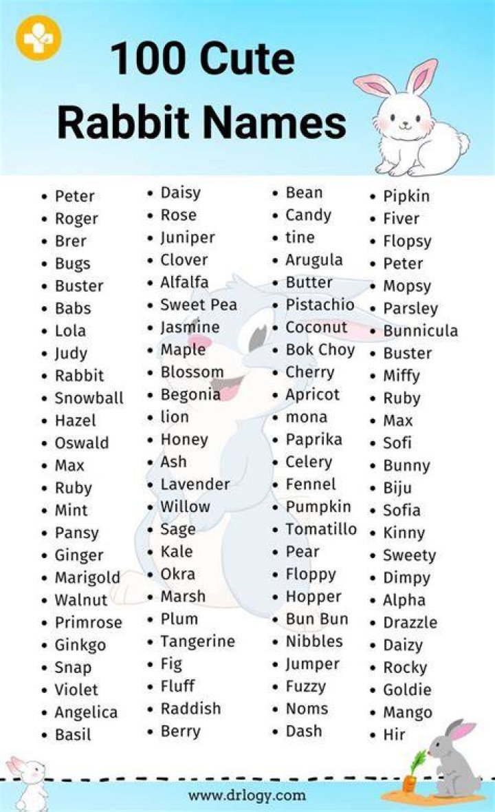Rabbit Names | Nameberry