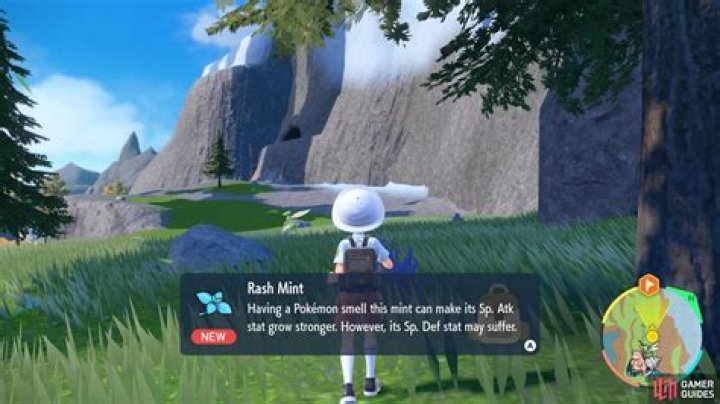 Rash Mint
