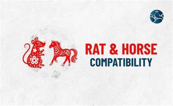 rat horse compatibility