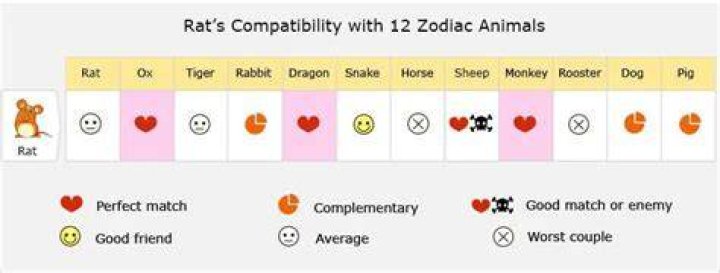 rat love compatibility